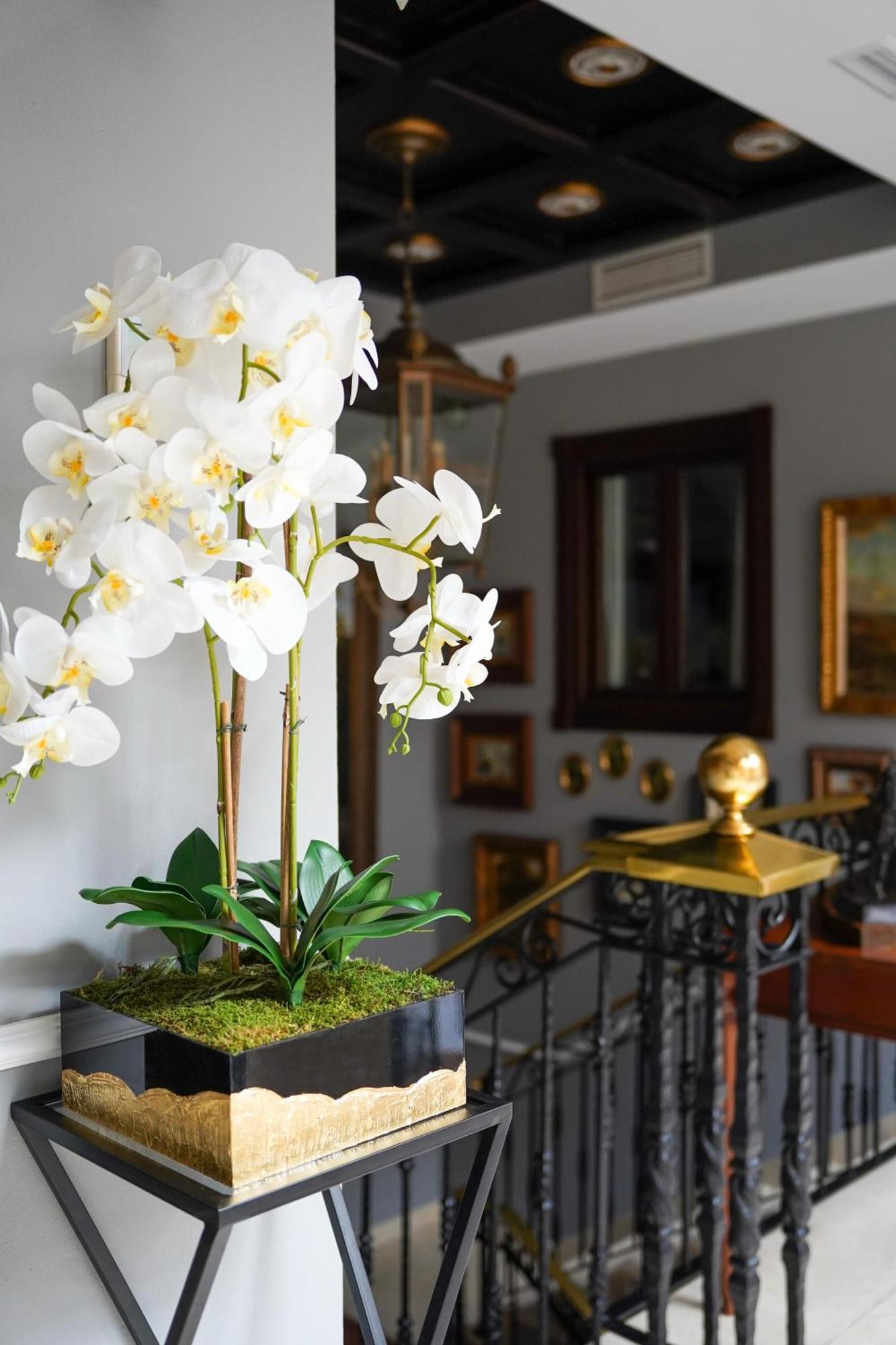 Hotel Boutique Casa Veracruz Estepona Kültér fotó